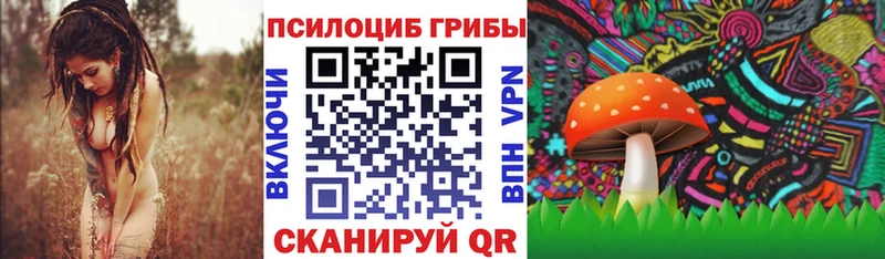 Псилоцибиновые грибы Psilocybine cubensis Спас-Клепики